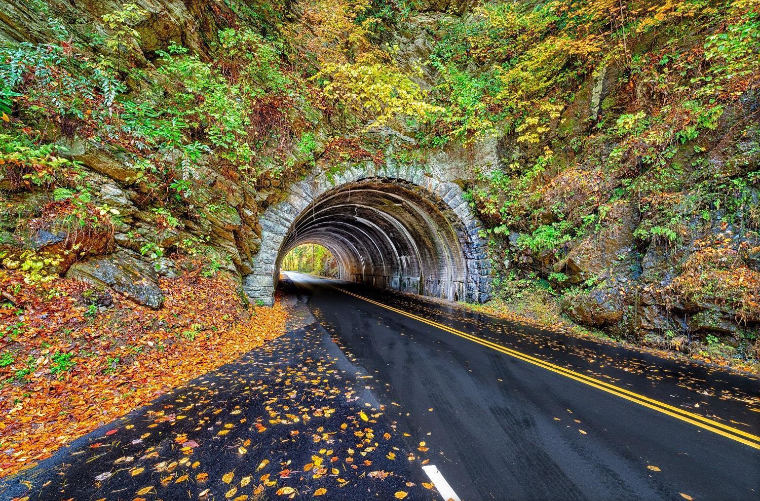 Her Majesty'S Way, Awesome Mtn Views, 1089 Free Tickets Each Paid Day, Dollywood And More جاتلينبرج المظهر الخارجي الصورة